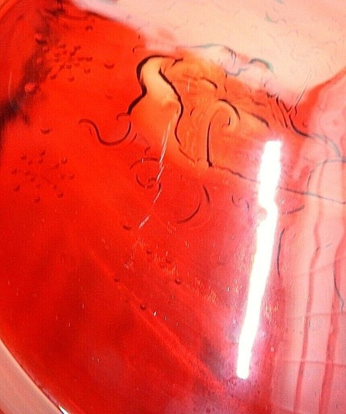 Arcoroc Sleigh Ride Glass Serving Platter 13” Round Red - Picture 5 of 9